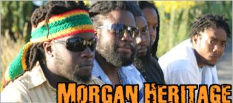 morgane heritage